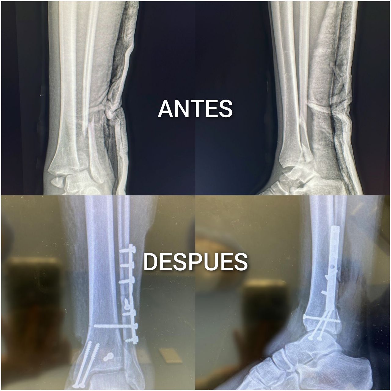 José Alberto Mosqueda Gutiérrez-0