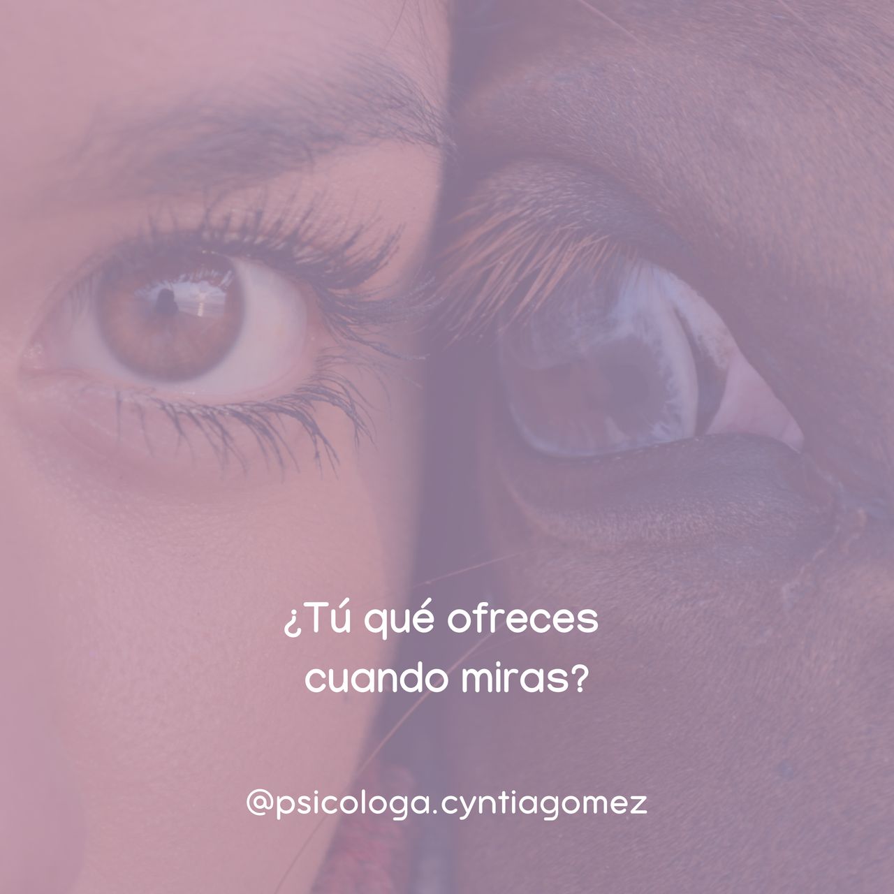 Cyntia Gómez García-2