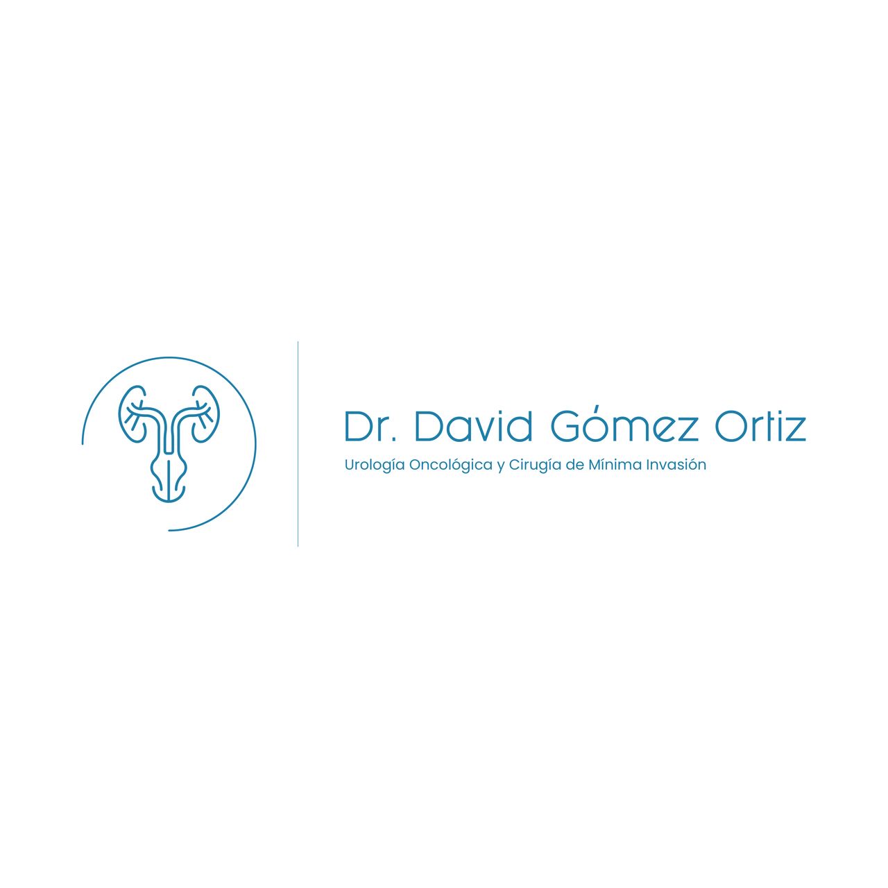 David Gómez Ortiz-0