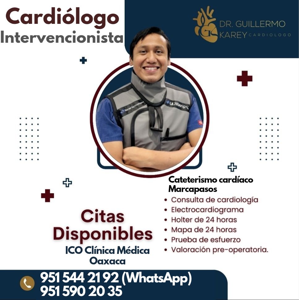 Guillermo Karey Pérez Cortés-0