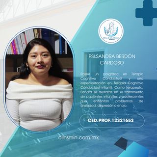 Sandra Berdon Cardoso, Psicólogo Puebla