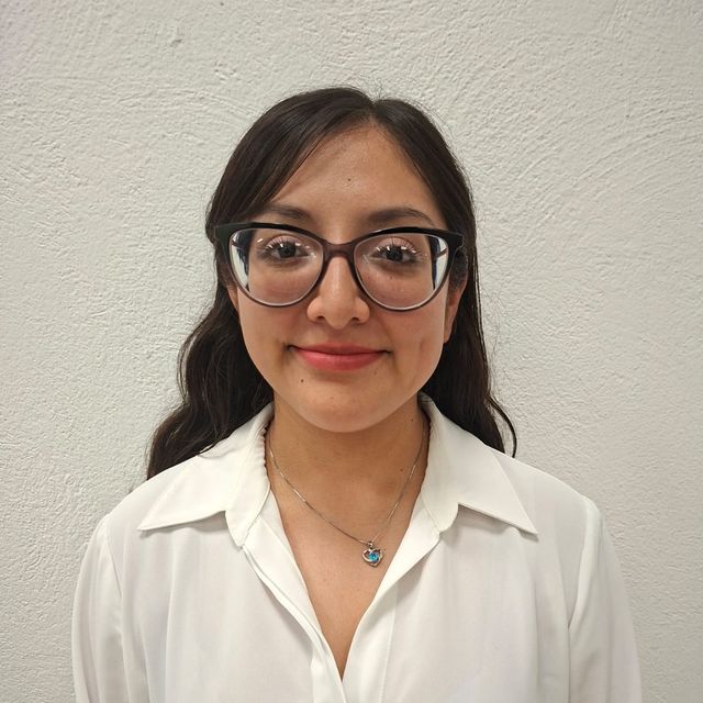 Diana Vianey Fuentes Sánchez, Psicólogo Benito Juárez