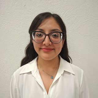 Diana Vianey Fuentes Sánchez, Psicólogo Benito Juárez