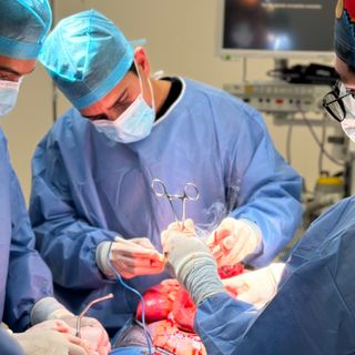 Ampliar imagen: Luis Eduardo Sevilla, Médico general Culiacan