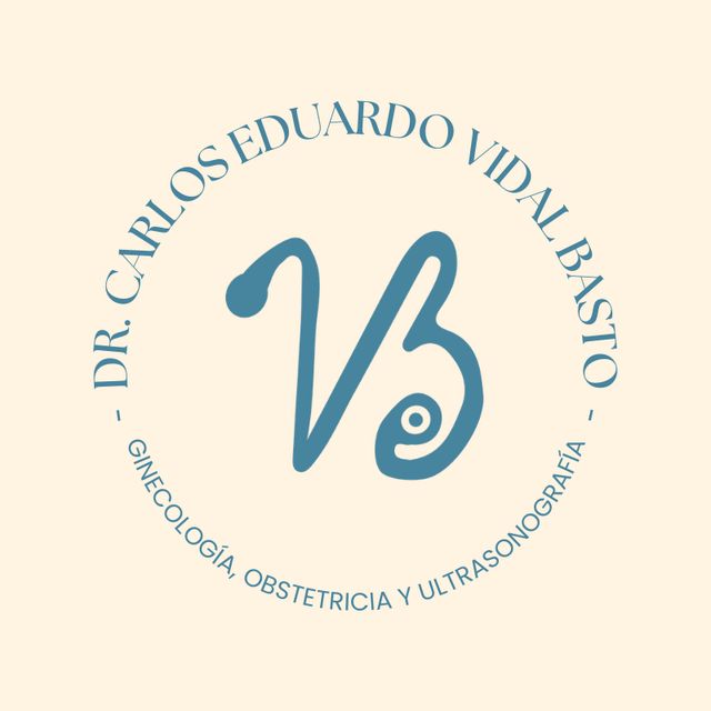 Carlos Eduardo Vidal Basto, Médico general Mérida