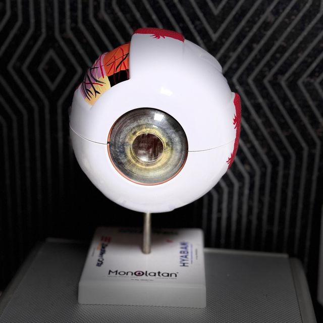 Pedro Antonio Audelo Quiñonez, Oftalmólogo Los Mochis