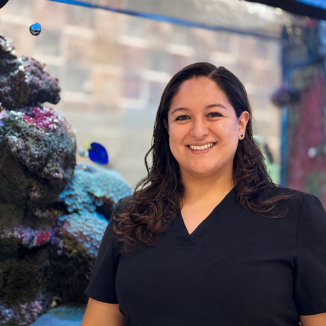 Mariana Olivares Álvarez, Dentista - Odontólogo Ciudad de México
