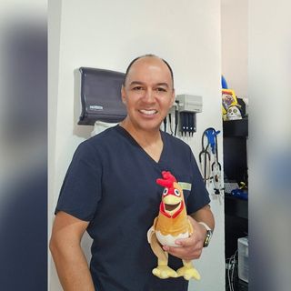 Dr. José Enrique Mancilla Anguiano