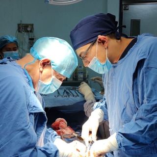 Ampliar imagen: Pedro Rafael Vargas Reus, Ginecólogo Orizaba