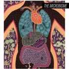 Dr. Antonio Orozco Gámiz