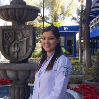 Ampliar imagen: Paulina Espinosa Ochoa, Endodoncia Corregidora