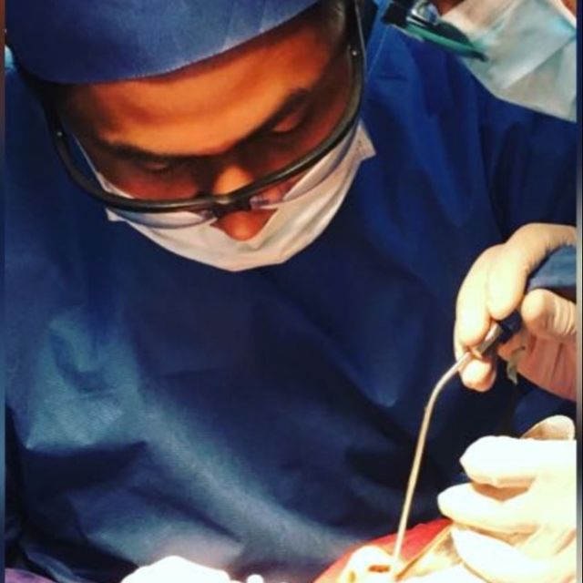 Máximo  Garcia , Dentista - Odontólogo Mérida