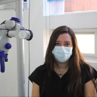 Sofia Ortiz De Souza, Dentista - Odontólogo Ciudad de México