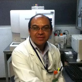 Jose Alberto Gallegos Roman, Analista clínico Chimalhuacan
