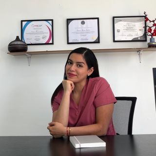 Ampliar imagen: Ximena  Alvarez Sanchez , Fisioterapeuta Puebla