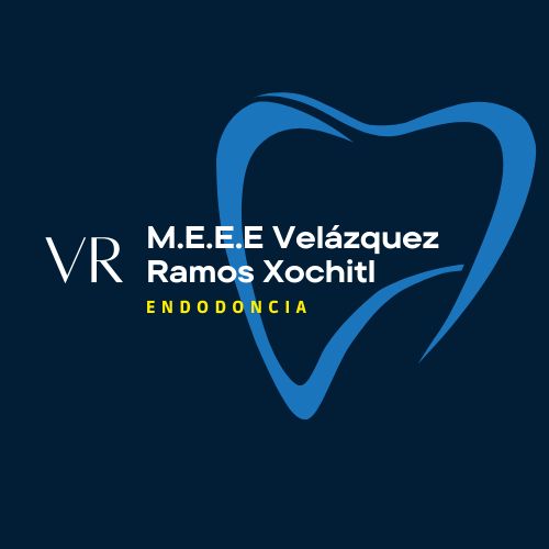 Xochitl Velazquez Ramos, Dentista - Odontólogo San Luis Potosi