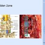 Oscar Suárez Requena, Ortopedista Villahermosa