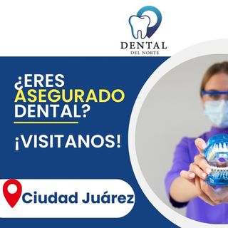 Ampliar imagen: Ana Paola Del Palacio Franco, Dentista - Odontólogo Ciudad Juarez