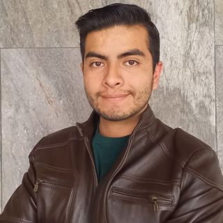 Mtro. Luis Angel Martínez Vargas