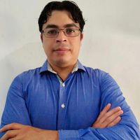 Héctor Pérez Carrizales