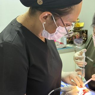 Ampliar imagen: Leticia Camarena, Dentista - Odontólogo Ciudad de México