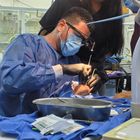 Dr. Juan Guillermo Garcia Berdeja