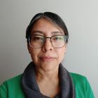 Lic. Brenda Jerusalén Romero Gómez