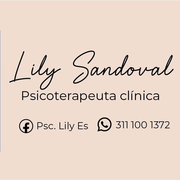 Lilian lizbeth Estrada sandoval, Psicólogo Tepic