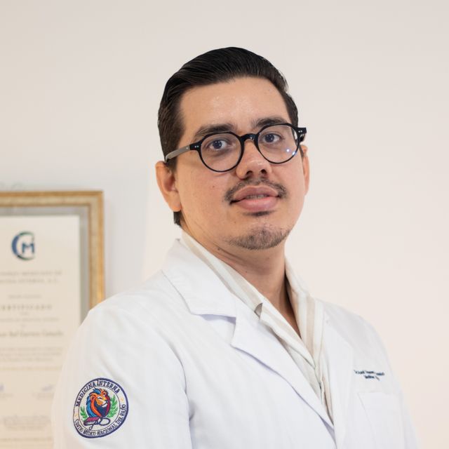 Oscar Axel Guerrero Camacho