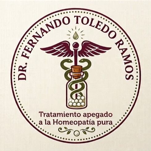 Fernando Toledo Ramos