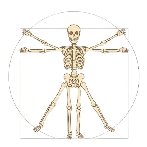 Daniela Gigdem Velázquez Meneses, Fisioterapeuta Ciudad de México