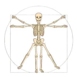 Ampliar imagen: Daniela Gigdem Velázquez Meneses, Fisioterapeuta Ciudad de México