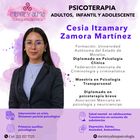 Lic. Cesia Itzamary Zamora Martínez