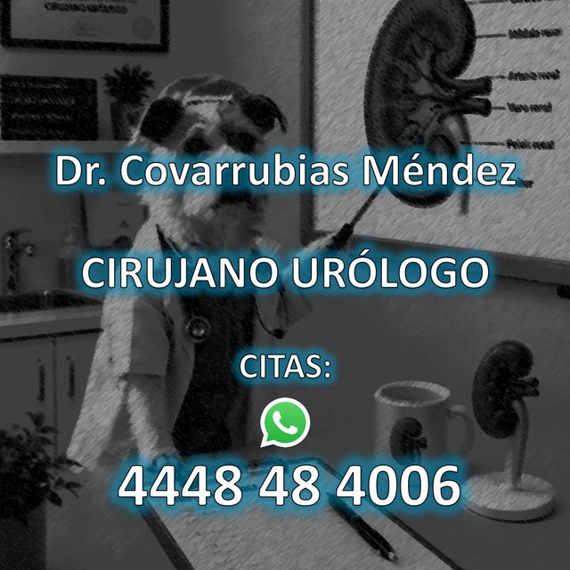 Luis Miguel Covarrubias Méndez