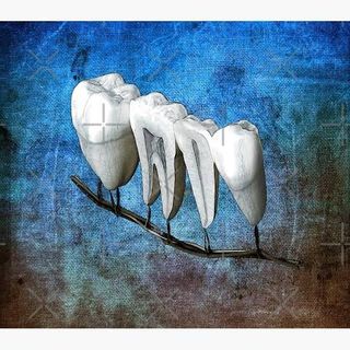 Ampliar imagen: Rosa María Rodríguez Gómez, Endodoncia Celaya