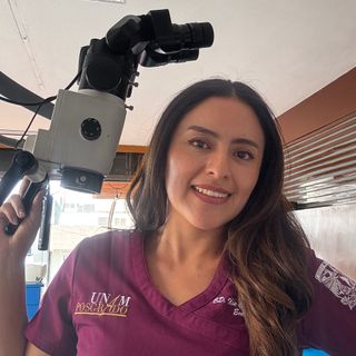 Ampliar imagen: Ilse Crystel Méndez Salas, Dentista - Odontólogo Ciudad de México