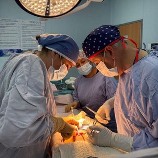 Ampliar imagen: Juan José Vázquez de la Garza, Neonatólogo Puebla