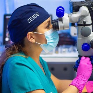 Ampliar imagen: Sofía Ríos Villavicencio, Dentista - Odontólogo Coyoacán