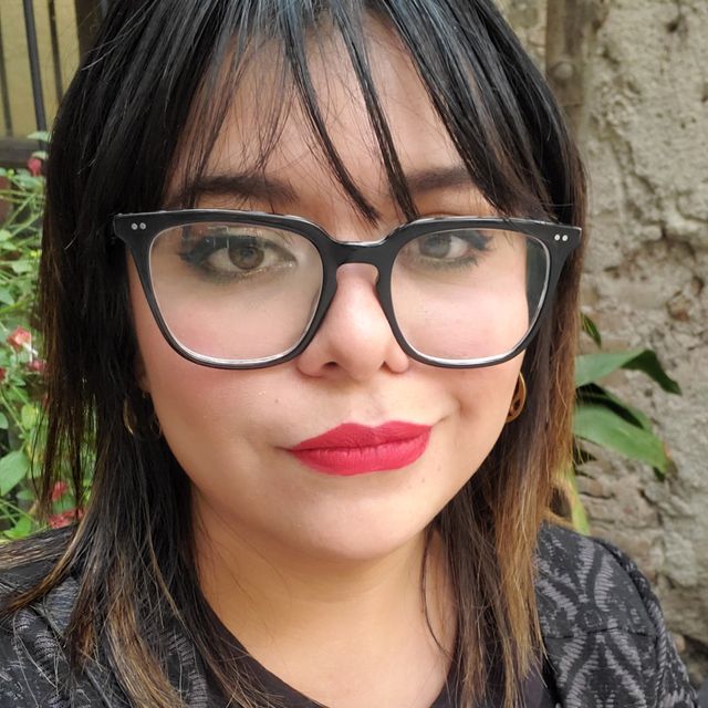 Ilse Julia Romero Elizalde, Psicólogo San Miguel de Allende