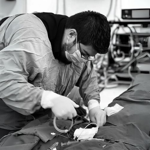 Michel Olvera Medina