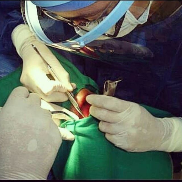 Alma Delia Flores Herrera, Dentista - Odontólogo Puebla