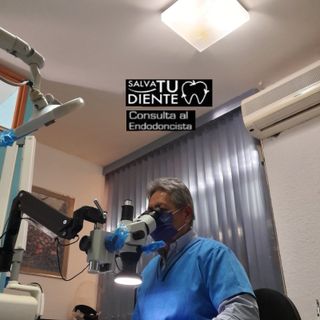 Salvador Galván Renteria, Endodoncia Irapuato