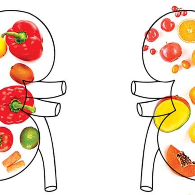 WENDY REYES FLORES, Nutriólogo Veracruz