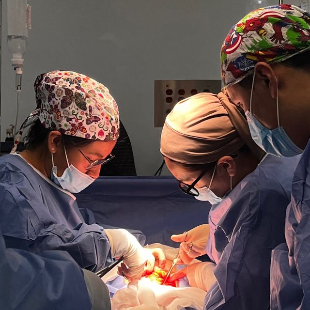 Diana Gladyz Cruz García