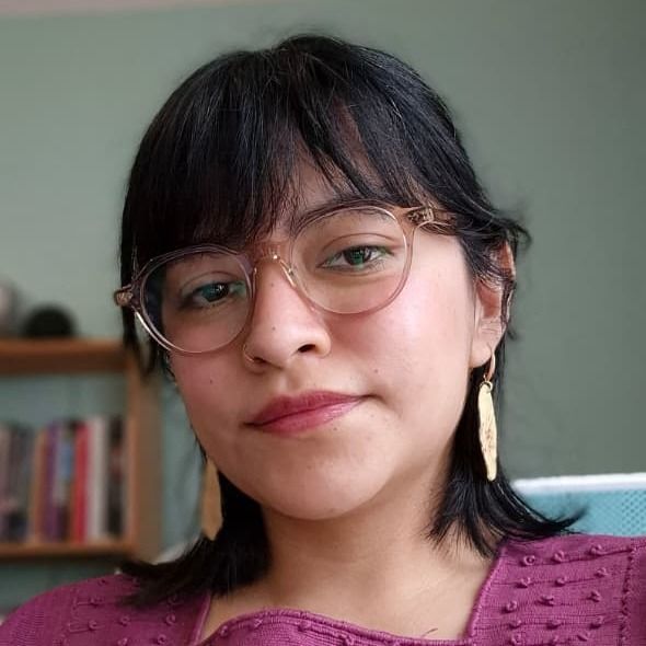 Itzel Guadalupe Díaz Ramírez , Psicólogo Benito Juárez