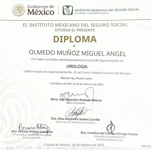 Ampliar imagen: certificate 3
