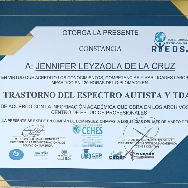 Ampliar imagen: certificate 22