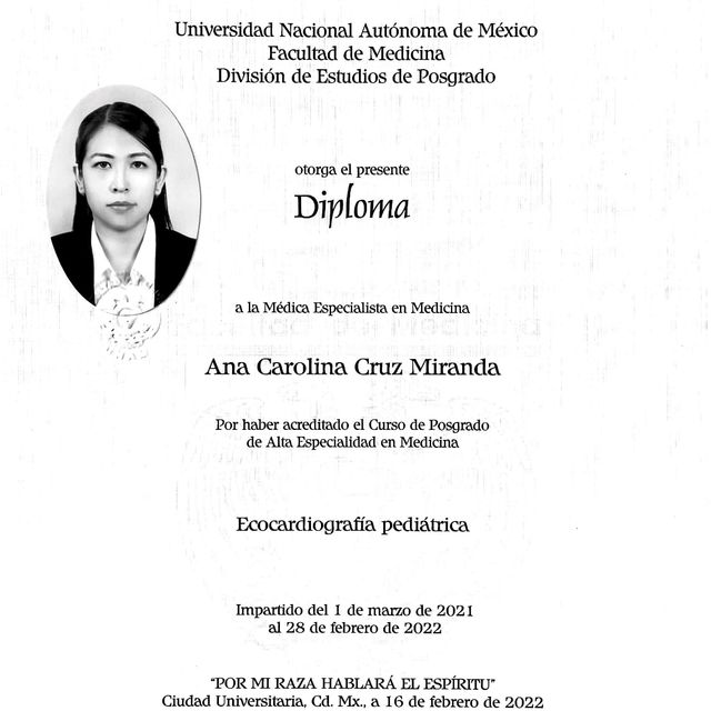 Ampliar imagen: certificate 6