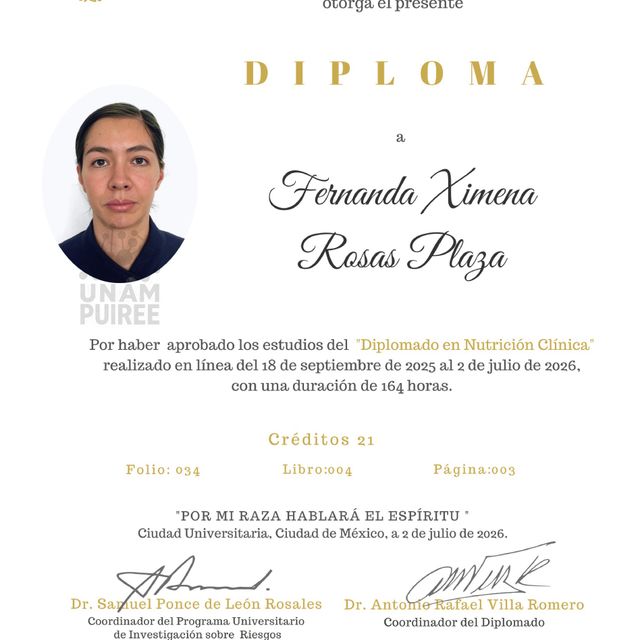 Ampliar imagen: certificate 3