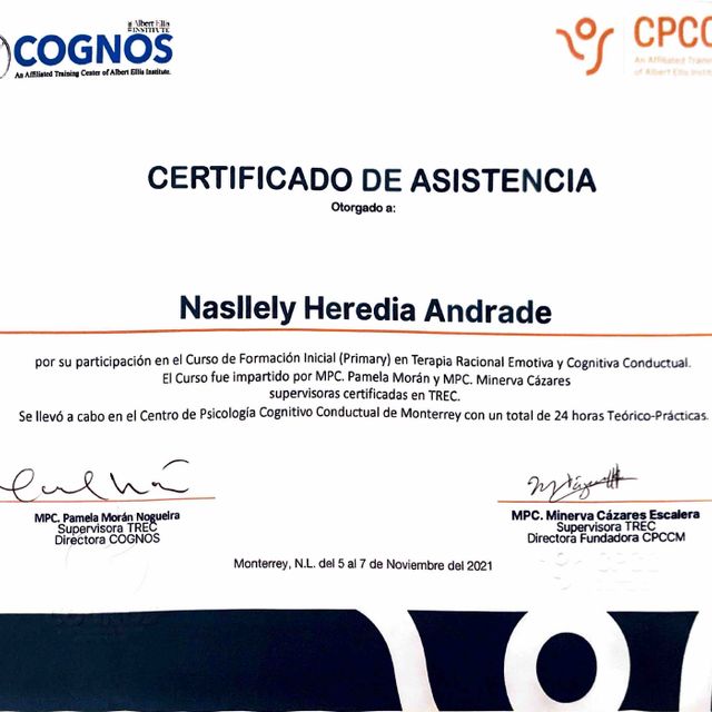 Ampliar imagen: certificate 2
